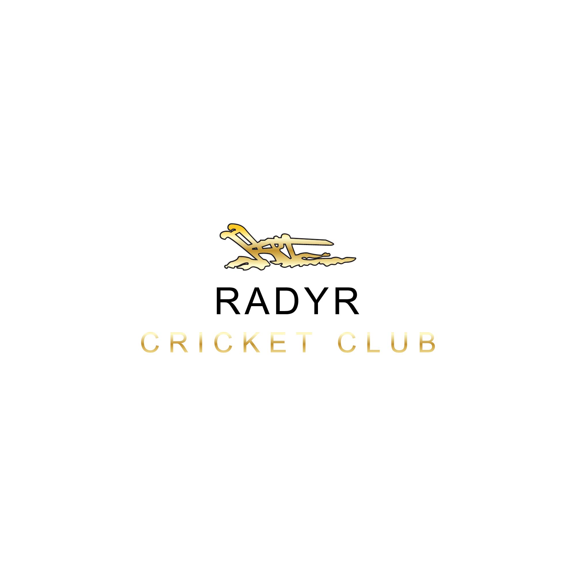 Radyr Cricket Club Juniors
