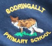 Bodringallt Primary