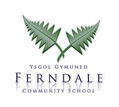 Ferndale Community School