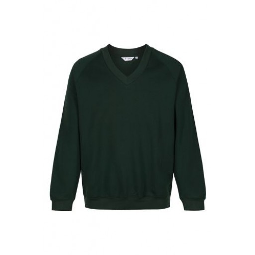 Ynyswen V Neck sweater