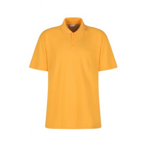 Bodringallt Primary Polo