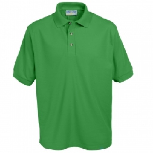 Ferndale KS3 Polo shirt