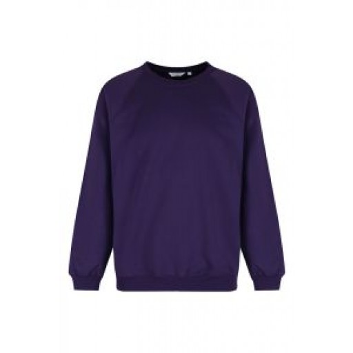 Maerdy Primary Crew Neck Jumper