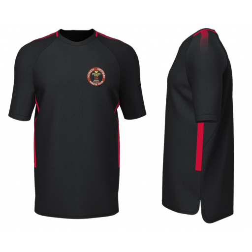 Narbeth Shotokan Karate Club T-Shirt