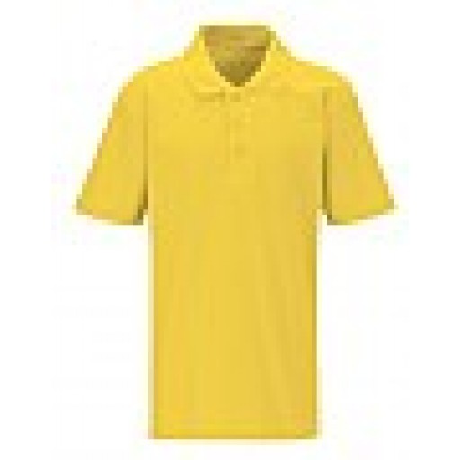 Darran Park polo shirt