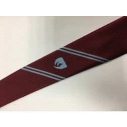 Treorchy Comprehensive 6th form tie