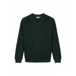 Ynyswen V Neck sweater