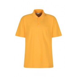 Bodringallt Primary Polo