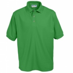 Ferndale KS3 Polo shirt