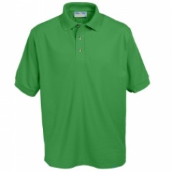 Ferndale KS3 Polo shirt