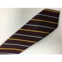 Treorchy Comprehensive Lower School tie